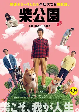 任你干任你操