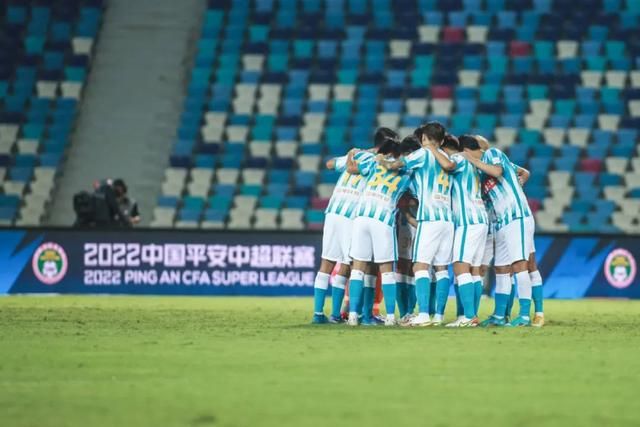 国内精品久久久久久久久野战