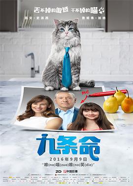 干肥婆