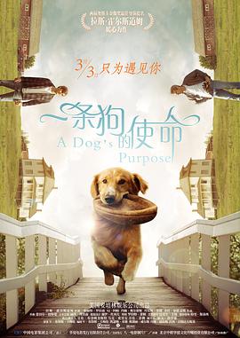 97小视频