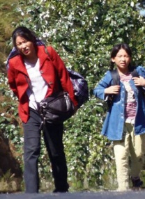 亚洲区在线
