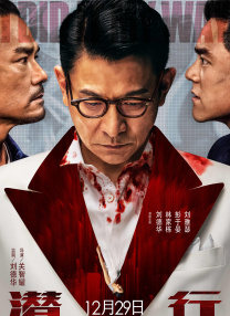 国产精品久久久久久久久久免费