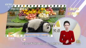 sp惩戒