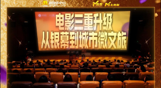 林茵是什么小说